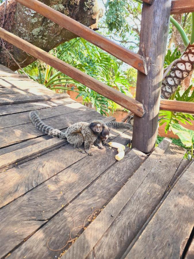 Hotel Fazenda Villa Vitta Sao Pedro  Ngoại thất bức ảnh